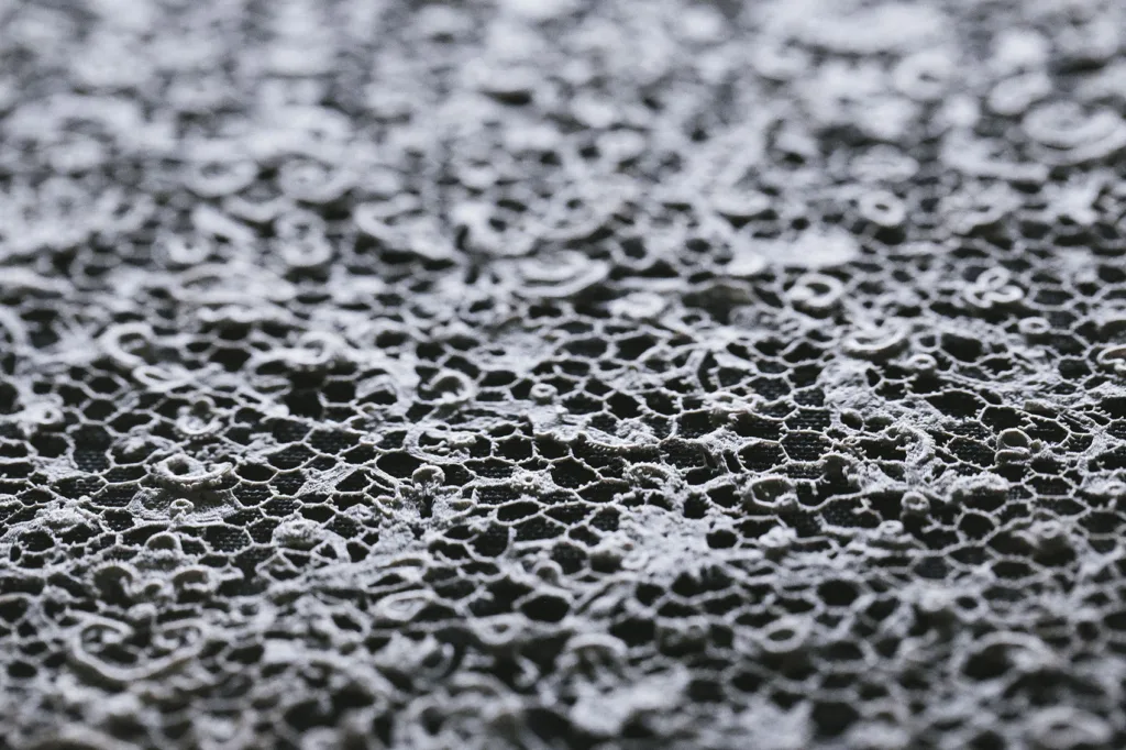 MuséeMode&Dentelle©Caroline Lessire